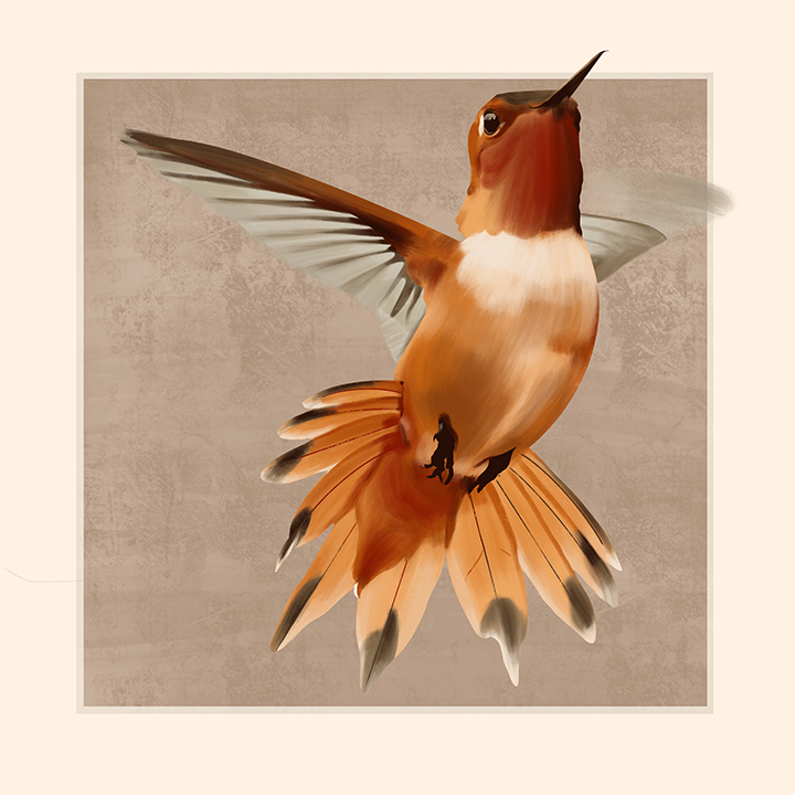 Hummingbird-What is Movement_